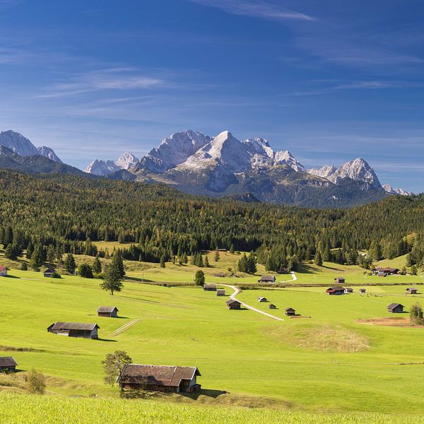 Bultrugweiden tussen Mittenwald en Krün, Werdenfelser Land, met daarachter de Zugspitze van Walter G. Allgöwer