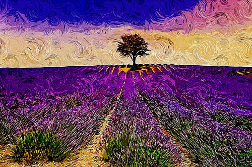 Provence Lavender