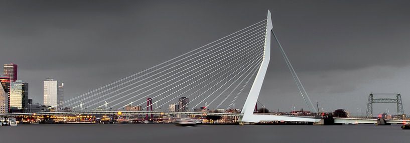 Bewolkte skyline van Rotterdam van Miranda van Hulst