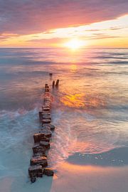 Alte Buhnen im Sonnenuntergang