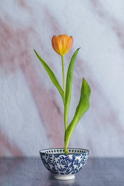 Dutch Ikebana 5. van Pieter van Roijen