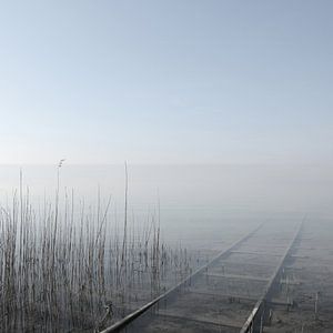 Into Nowhere