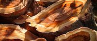 Close-up van houten schijven - Natuurlijkheid van Poster Art Shop thumbnail