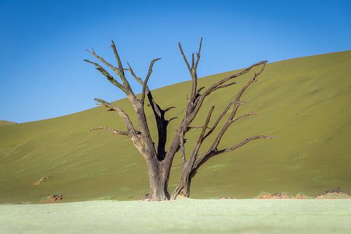 Dodevlei_10, Sesriem, Namibia