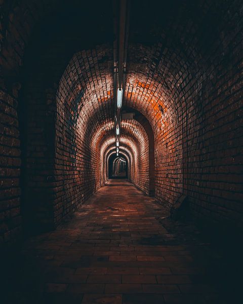 Tunnel C-Mine von Die Utrechter Fotografie