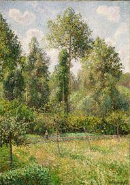 Poplars, Éragny, Camille Pissarro