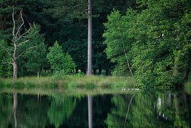 Sunset Dwingelderveld - Drenthe (Netherlands) by Marcel Kerdijk