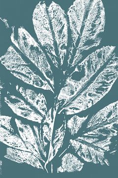 Modern botanical art. White leaves on teal blue by Dina Dankers