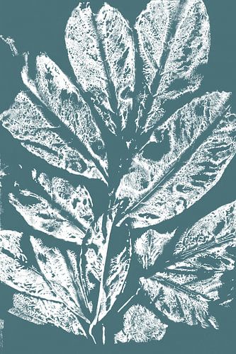 Art botanique moderne. Feuilles blanches sur bleu sarcelle