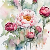 Peonies in Watercolour