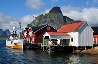 Vissersboot in Reine (Noorwegen, Lofoten) van Marc Smits thumbnail