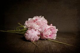 peonies by Leonie van den Udenhout