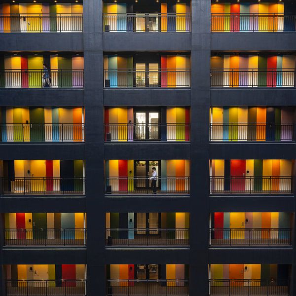 Farbpalette von Amnon Eichelberg