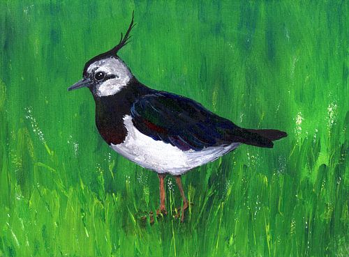 Kievit in het gras. Acrylverf schilderij