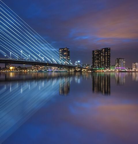 Rotterdam night reflections