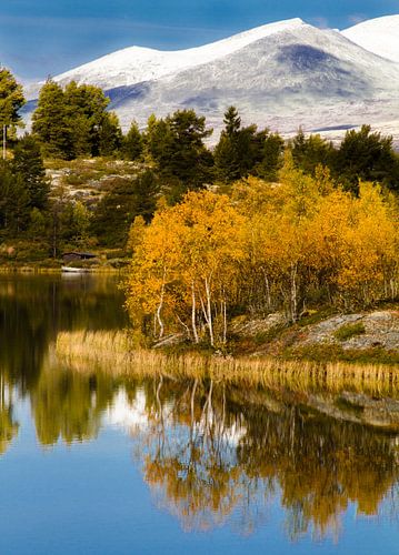 Reflectie in meer