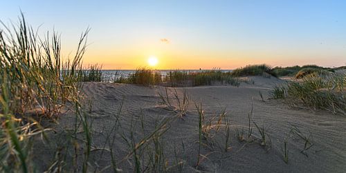 Duinzicht von Alex Hiemstra