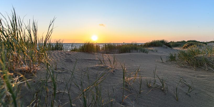 Duinzicht von Alex Hiemstra