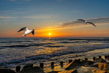 Sunset on the beach on Usedom by Animaflora PicsStock
