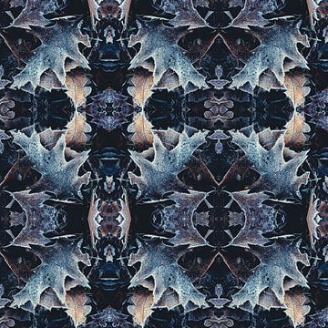 Frostige Collage-1 von Rob van der Pijll