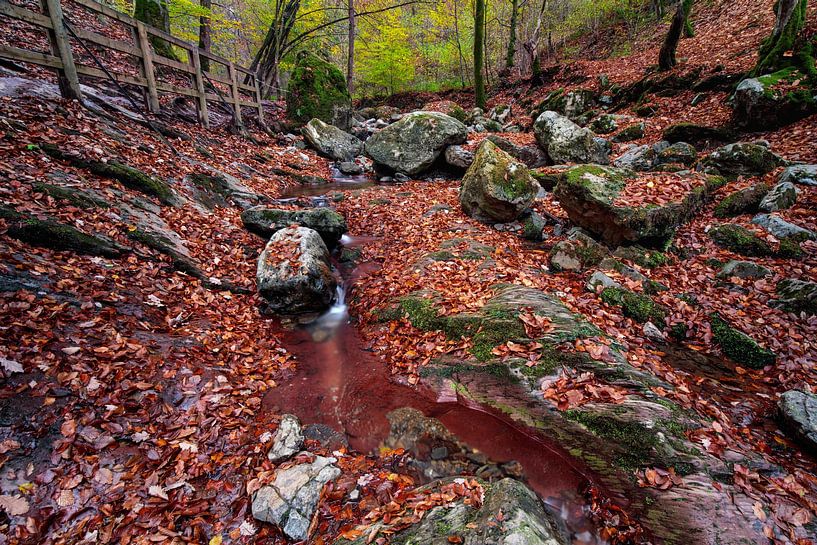 Ninglinspo par Rob Boon