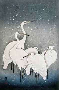 Cranes, an old Japanese master in beautiful colours