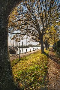 Herbstbild im Gegenlicht am Hafen von Enkhuizen