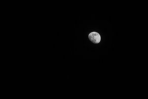 Lune