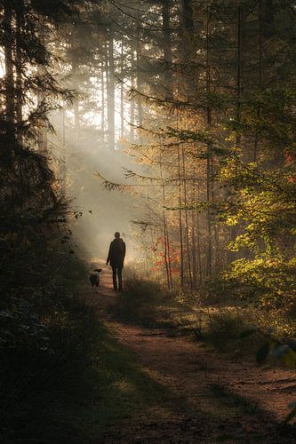 Herfst