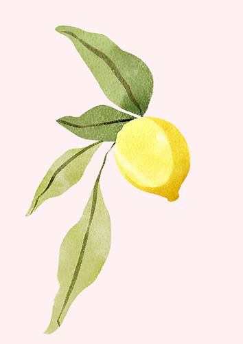 Eine Zitrone Vor Rosa sur Ohkimiko