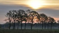 Zonsopkomst in de polder