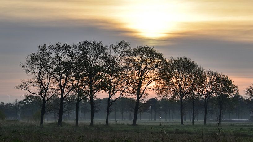 Sunrise in the polder by Monique Verlouw