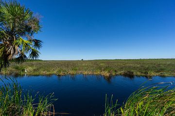 Verenigde Staten, Florida, Weids eindeloos moeras achter rivier van everglades nationaal park van adventure-photos