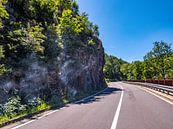 Landweg in het Harz gebergte met rotsen van Animaflora PicsStock thumbnail