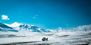 Transport op grote hoogte, himalaya, Tibet