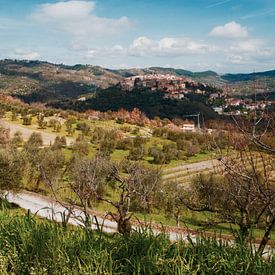 Ikonischer italienischer Blick auf ein kleines Dorf inmitten des Weinbergs von Evy Bakker