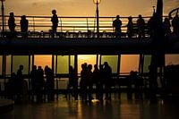 Cruiselife