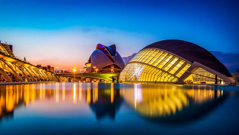 Valencia the City of Arts and Sciences, Spain by Lex van Lieshout