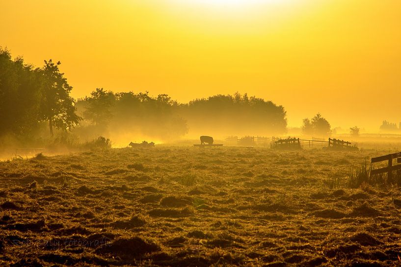Dutch landscape by Rob Saly
