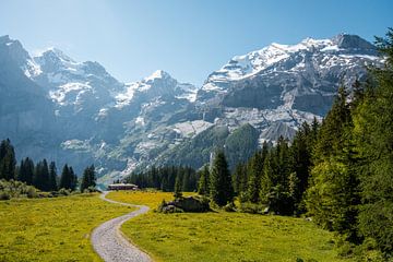 Zwitsers landschap van Dayenne van Peperstraten