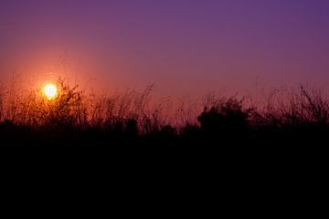 Zonsondergang van Evelyne Renske