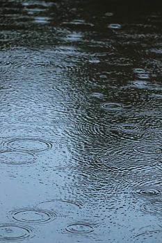 Il pleut au bord du lac