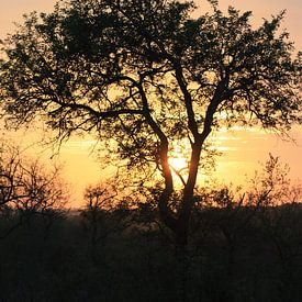 Zonsondergang von Wim Franssen