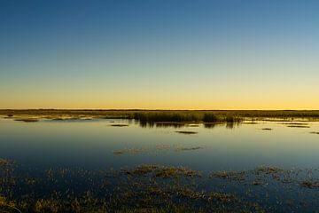 USA, Florida, Abendstimmung über dem Everglades-Nationalpark von adventure-photos