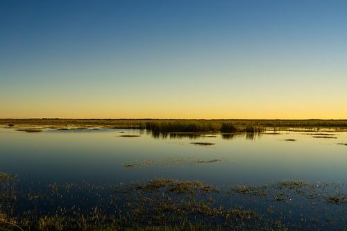 Verenigde Staten, Florida, Avondstemming over everglades nationaal park