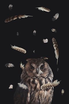 Ruffling some feathers van Elianne van Turennout