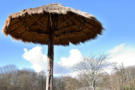 Sonnenschirm