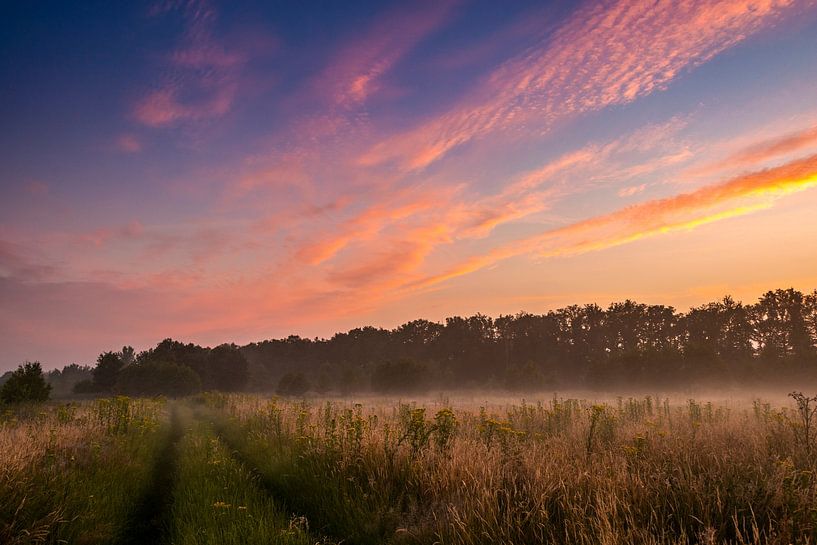 colorful sky van Kim Lijnders