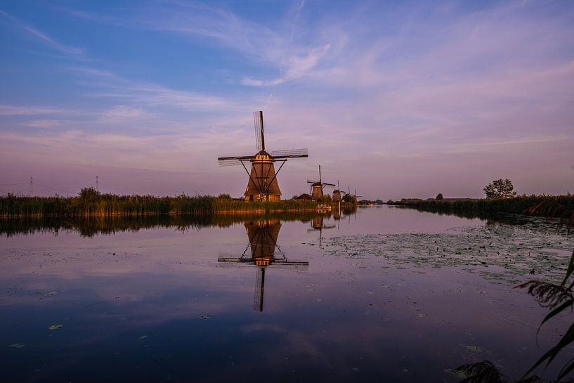 Windmills on the Kinderdijk by Brian Morgan