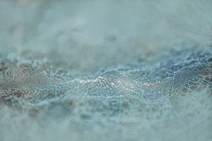 Toile d'araignée ondulée avec gouttes. 1